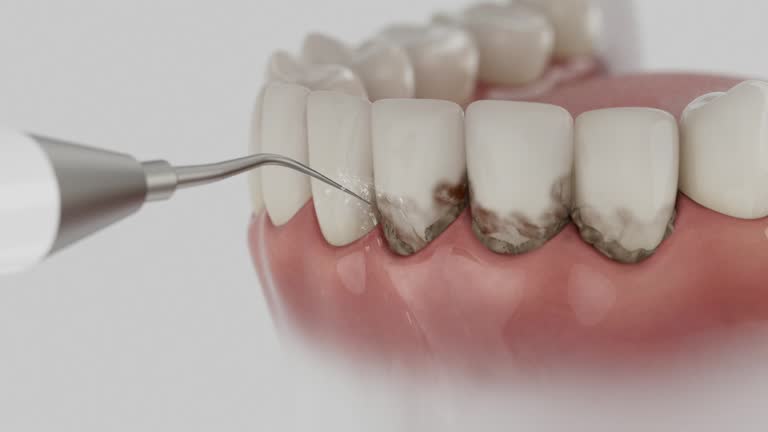 Reliable Dental contractor in St. Martin Parish County, LA by Dentist Open Now